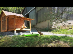 NEU! Reiterhof Finkenmühle Fewo Romano mit Balkon